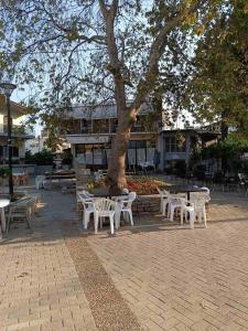 Marys Traditional home