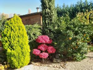 Chalets havre de paix : photos des chambres