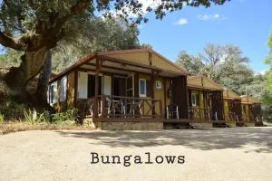 Bungalows, Camping Vega de Francia - 米兰达德尔卡斯塔尼亚尔