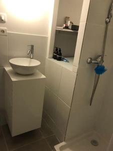 Appartements Le petit Cerf-Volant : photos des chambres
