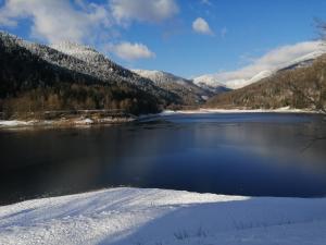 Chalets Chalet Typique Vosgien 