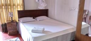 Desitha Family House