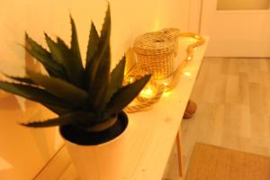 Delphic Moments II - Spacious apt 3BR 2BA with view