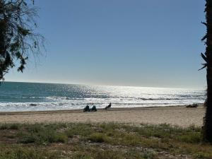 LA MATA TORREVIEJA PLAYA - Ubytování bez kategorie ve městě La Mata
