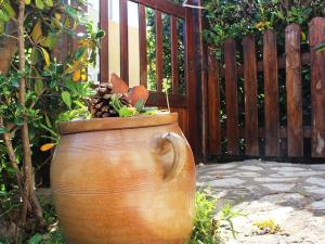 Superbe T2 avec jardin et parking, Cap dAgde - FR-1-607-94