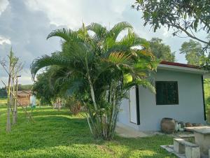 Paa & Michaels Resort