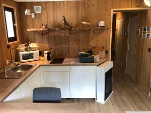 Appartement 6 personnes aux 2 Alpes, au pied des pistes - Wi-fi, Parking gratuit, Terrasse vue sur jardin