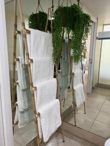 Beach Club Palm Cove