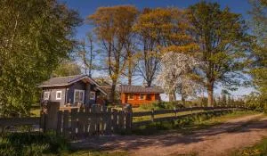 Saunowisko w Krągu - domy Niebieski i Żółty - Łętowo