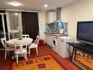 Apartamento abierto con patio - Matadepera