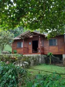 HOSTERIA MADERA FINA - Salinas