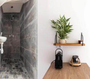 Appartements Studio 63 : photos des chambres