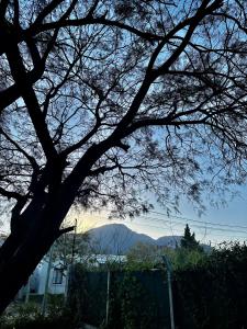 Casa del cerro 1 - Three Houses