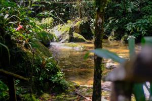 Casa em penedo com cachoeira