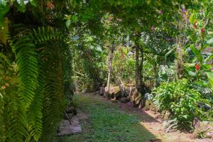 Casa em penedo com cachoeira