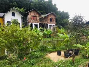 Stella Đồng Lâm Homestay - Bắc Kạn