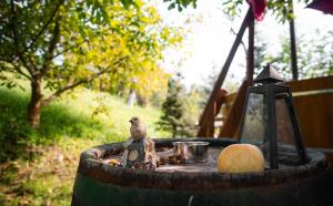 Petershaus - casa de vacanța și distractie.