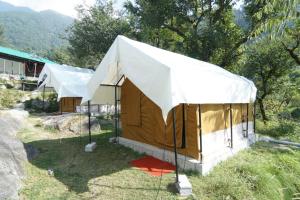 Uphill Adventures and Meditation I Dharamshala