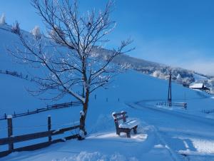 Appartement Schwarzkoglerhof