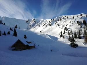 Appartement Schwarzkoglerhof