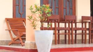 wellassa homestay
