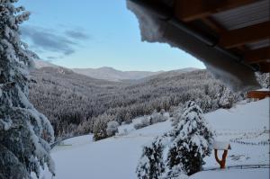 Ferienhaus Seetaler Alpen