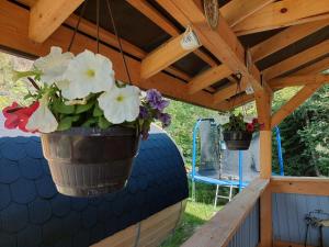 Chata na Orave so saunou a kúpacou kaďou