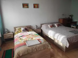 Apartman 1 RIBIČ - Trošmarija