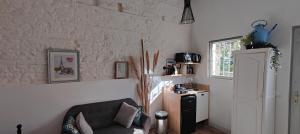 Appartements Studio avec jardin a 10 mn a pied du centre ville : photos des chambres