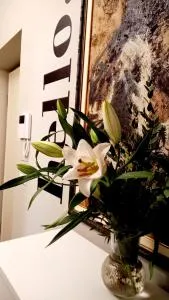 SKY LOFT Nuovissimo vicinanze Metro - Collegno