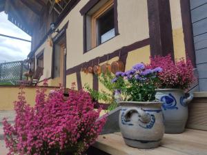 Maisons de vacances La grange de la petite souris : photos des chambres