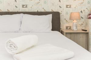 Brasov Holiday Residence