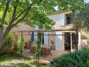 Beautiful mas with swimming pool in Provence / Maison provençale avec piscine - 普兰·德·库奎斯