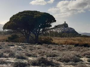 Casa Vacanze da Claudio&Kevin img12