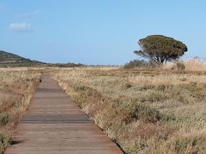 Affittacamere da Claudio&Kevin con cucinino img14