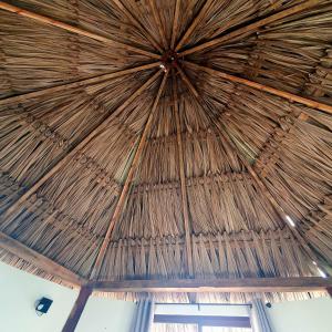 Lodge LA EMBERÁ I Osez linsolite tout confort