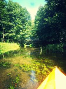 Cały dom na wyłączność - Ostoja Leśna Cisza