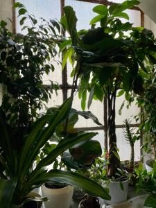 Lorenzos House Catania - Comfortable flat in the city centre