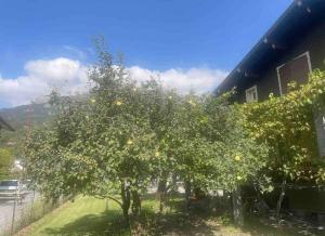 Appartements ski chamonix, Saint Gervais et mont-blanc : Appartement 2 Chambres