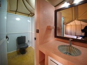 Merzouga desert camel