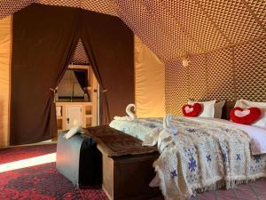 Merzouga desert camel