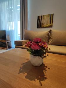 Gondola Studio Brzeće Kopaonik