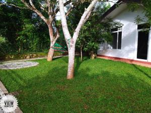 Hanthana View Homestay