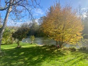 Villas Apatam-Montigny, bord du Loing : photos des chambres