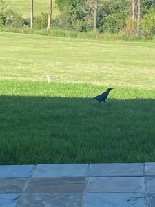 Precious, Peaceful 3bedroom, 6 sleeper family home!