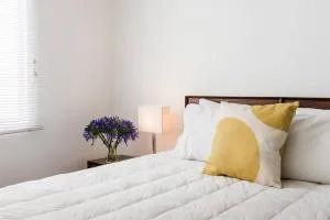 Condesa Residence Campeche 10 Amazing 2 Bedroom 1 Bathroom Oasis with Ample Room - 墨西哥城