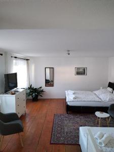 Apartman Modry dum