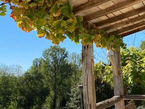 Maisons de vacances Aux Juges-charming holiday house with private infinitypool! : photos des chambres