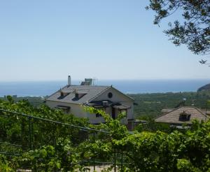 Vila Altini Borsh, Apartmanok - Borsh