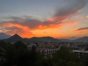 Azienda agricola zootecnica Soriente di Guglielmo Areh Soriente & C.S.A.S - Roccapiemonte